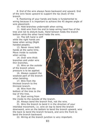 Kato Kimura - The Ancient Art of Bonsai - 2007.pdf