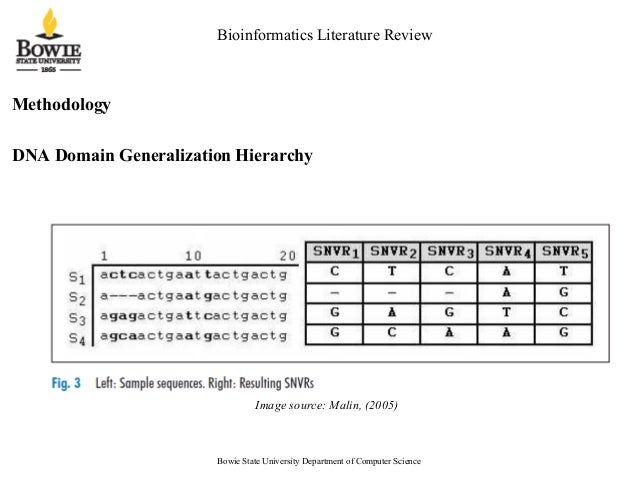 Dna literature review