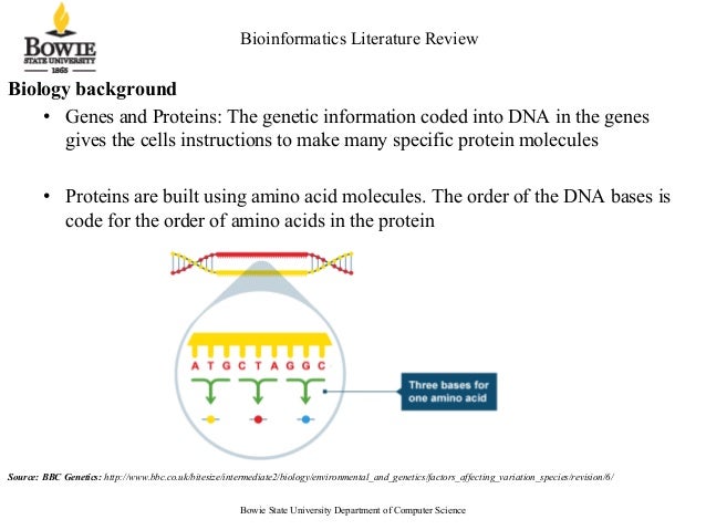 Dna literature review