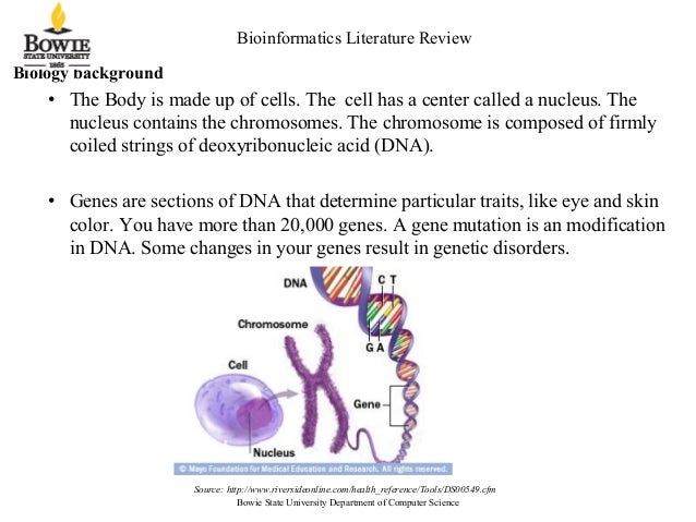 Dna literature review