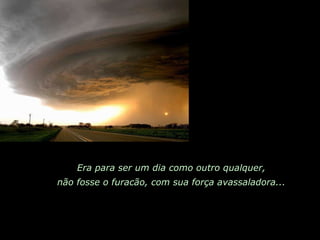 Era para ser um dia como outro qualquer, não fosse o furacão, com sua força avassaladora... 