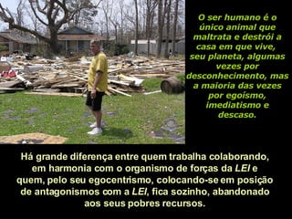 O ser humano é o único animal que maltrata e destrói a casa em que vive,  seu planeta, algumas vezes por desconhecimento, mas a maioria das vezes por egoísmo, imediatismo e descaso. Há grande diferença entre quem trabalha colaborando,  em harmonia com o organismo de forças da  LEI  e  quem, pelo seu egocentrismo, colocando-se em posição  de antagonismos com a  LEI , fica sozinho, abandonado  aos seus pobres recursos.  