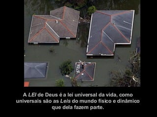 A  LEI  de Deus é a lei universal da vida, como  universais são as  Leis  do mundo físico e dinâmico  que dela fazem parte.  