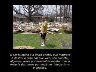 O ser humano é o único animal que maltrata e destrói a casa em que vive, seu planeta, algumas vezes por desconhecimento, mas a maioria das vezes por egoísmo, imediatismo e descaso. 