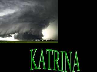 KATRINA 