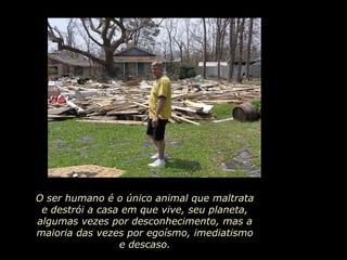 O ser humano é o único animal que maltrata e destrói a casa em que vive, seu planeta, algumas vezes por desconhecimento, mas a maioria das vezes por egoísmo, imediatismo e descaso. 