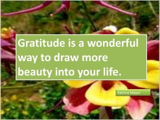 Gratitude is a wonderful
way to draw more
beauty into your life.
Katrina Mayer

 