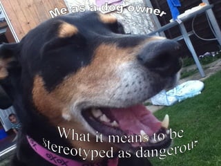 What it means to be  stereotyped as dangerous Me as a dog owner 