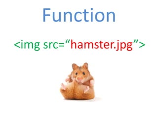 Function
<img src=“hamster.jpg”>
 