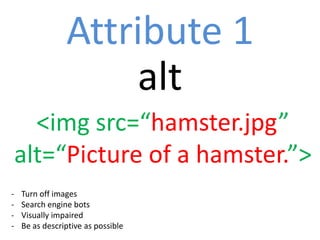 Attribute 1
                    alt
      <img src=“hamster.jpg”
    alt=“Picture of a hamster.”>
-   Turn off images
-   Search engine bots
-   Visually impaired
-   Be as descriptive as possible
 