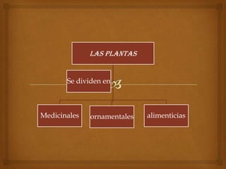 Las plantas
Se dividen en

Medicinales

ornamentales

alimenticias

 