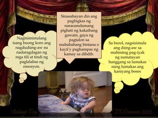 Sa burol, nagsisimula
ang dúng-aw sa
mahinàng pag-iyak
ng namatayan
hanggang sa lumakas
nang lumakas ang
kaniyang boses
Nagmimistulang
isang buong koro ang
nagdudúng-aw na
nadaragdagan ng
mga tili at tindi ng
paglalabas ng
emosyon.
Sinasabayan din ang
pagbigkas ng
nararamdamang
pighati ng kakaibang
gawain, gaya ng
pagtalon sa
mabababang bintana o
kayâ’y paghampas ng
kamay sa dibdib.
 