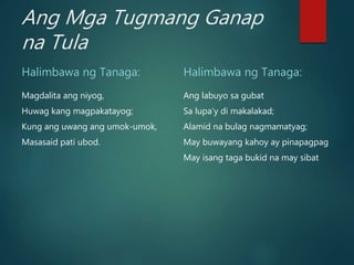 Ang Mga Tugmang Ganap
na Tula
Halimbawa ng Tanaga:
Magdalita ang niyog,
Huwag kang magpakatayog;
Kung ang uwang ang umok-umok,
Masasaid pati ubod.
Halimbawa ng Tanaga:
Ang labuyo sa gubat
Sa lupa’y di makalakad;
Alamid na bulag nagmamatyag;
May buwayang kahoy ay pinapagpag
May isang taga bukid na may sibat
 