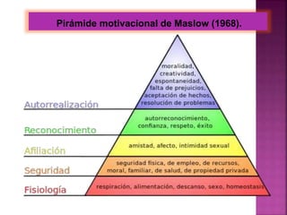 Pirámide motivacional de Maslow (1968).
 
