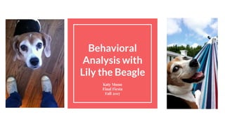 Behavioral
Analysis with
Lily the Beagle
Katy Munn
Final Fiesta
Fall 2017
 