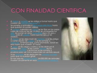 CON FINALIDAD CIENTIFICAA monos y conejos se les obliga a fumar hasta que mueren de cáncer pulmonar.[12]Se somete a animales a descargas eléctricas hasta que quedan sin poder valerse.A conejos sujetados en cepos se les fijan en las orejas cajas de moscas tse-tsé. A otros, sin protegerles los ojos, les ponen en éstos maquillaje para los ojos y tintes para el cabello hasta que los ojos se les ulceran.A monos se les deja morir de hambre, o se les obliga a correr dentro de ruedas y se les somete a radiación. El tiempo que, como promedio, duran en esto hasta que mueren: 37 horas.A gatos se les ciega y castra y se les destruye el sentido del olfato, se les cortan nervios de los órganos sexuales, y entonces se les somete a pruebas para ver cómo responden en sentido sexual.A los animales se les destruyen las cuerdas vocales para que no puedan gritar.En tan solo los Estados Unidos, 64.000.000 de animales mueren anualmente en esos experimentos médicos.