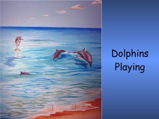 Dolphins Playing 