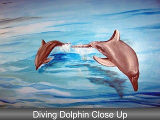 Diving Dolphin Close Up 
