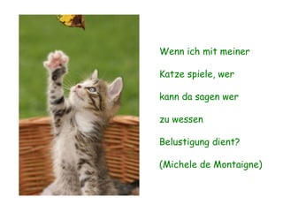 Wenn ich mit meiner Katze spiele, wer kann da sagen wer zu wessen Belustigung dient? (Michele de Montaigne) 