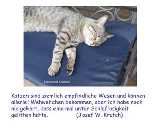 Foto Gerda Krauland Katzen sind ziemlich empfindliche Wesen und können allerlei Wehwehchen bekommen, aber ich habe noch nie gehört, dass eine mal unter Schlaflosigkeit gelitten hätte. (Josef W. Krutch) 