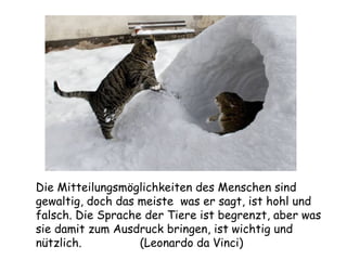 Die Mitteilungsmöglichkeiten des Menschen sind gewaltig, doch das meiste  was er sagt, ist hohl und falsch. Die Sprache der Tiere ist begrenzt, aber was sie damit zum Ausdruck bringen, ist wichtig und nützlich. (Leonardo da Vinci) 