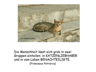 Foto Gerda Krauland Die Menschheit lässt sich grob in zwei Gruppen einteilen: in KATZENLIEBHABER  und in vom Leben BENACHTEILIGTE.   (Francesco Petrarca) 