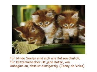 Für blinde Seelen sind sich alle Katzen ähnlich. Für Katzenliebhaber ist jede Katze, von Anbeginn an, absolut einzigartig. (Jenny de Vries) 