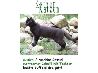 K a t z e n Musica:  Gioacchino Rossini Montserrat Caballé mit Tochter Duetto buffo di due gatti 