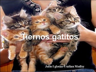 Julio  Iglesias-Italian Medley 
