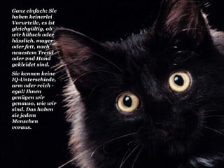 Ganz einfach: Sie haben keinerlei Vorurteile, es ist gleichgültig, ob wir hübsch oder hässlich, mager oder fett, nach neuestem Trend oder 2nd Hand gekleidet sind. Sie kennen keine IQ-Unterschiede, arm oder reich - egal! Ihnen genügen wir genauso, wie wir sind. Das haben sie jedem Menschen voraus. 