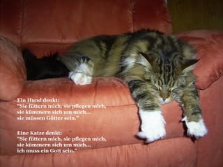 Ein Hund denkt:  "Sie füttern mich, sie pflegen mich, sie kümmern sich um mich...  sie müssen Götter sein."  Eine Katze denkt:  "Sie füttern mich, sie pflegen mich, sie kümmern sich um mich...  ich muss ein Gott sein." 