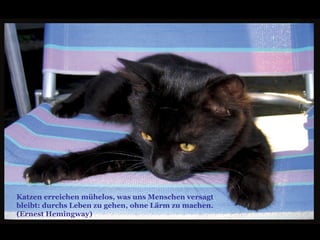 Katzen erreichen mühelos, was uns Menschen versagt bleibt: durchs Leben zu gehen, ohne Lärm zu machen.  (Ernest Hemingway) 