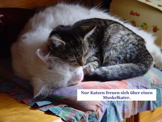 Nur Katzen freuen sich über einen Muskelkater. 