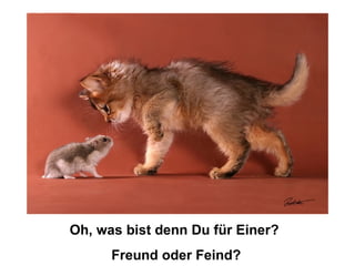 Oh, was bist denn Du für Einer?  Freund oder Feind? 