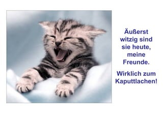 Äußerst witzig sind sie heute, meine Freunde. Wirklich zum Kaputtlachen! 