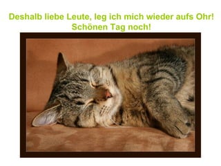 Deshalb liebe Leute, leg ich mich wieder aufs Ohr! Schönen Tag noch! 