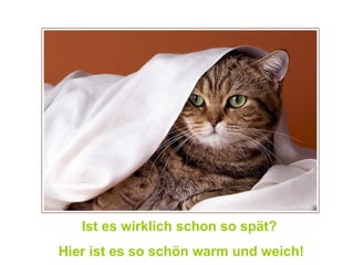 Ist es wirklich schon so spät?  Hier ist es so schön warm und weich! 