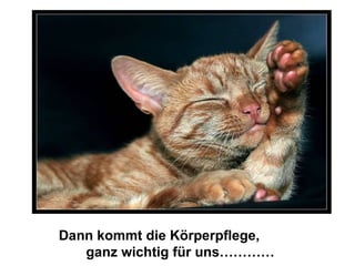 Dann kommt die Körperpflege,  ganz wichtig für uns………… 