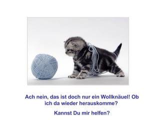 Ach nein, das ist doch nur ein Wollknäuel! Ob ich da wieder herauskomme?  Kannst Du mir helfen? 