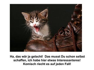 Ha, das wär ja gelacht!  Das musst Du schon selbst schaffen, ich habe hier etwas Interessanteres! Komisch riecht es auf jeden Fall! 