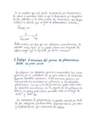 Kau.polimeros.20 compressed compressed