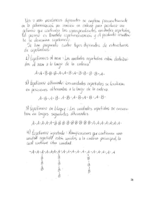 Kau.polimeros.20 compressed compressed