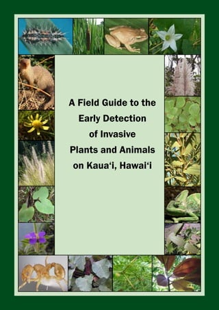 ‘‘



A Field Guide to the
  Early Detection
     of Invasive
Plants and Animals
on Kaua‘i, Hawai‘i
 