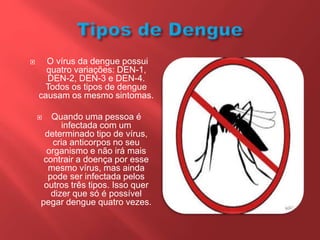  O vírus da dengue possui
quatro variações: DEN-1,
DEN-2, DEN-3 e DEN-4.
Todos os tipos de dengue
causam os mesmo sintomas.
 Quando uma pessoa é
infectada com um
determinado tipo de vírus,
cria anticorpos no seu
organismo e não irá mais
contrair a doença por esse
mesmo vírus, mas ainda
pode ser infectada pelos
outros três tipos. Isso quer
dizer que só é possível
pegar dengue quatro vezes.
 