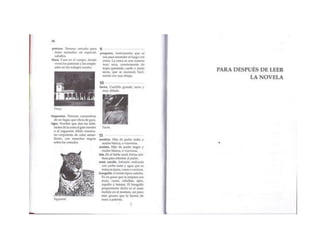 Kaufman extraña misión