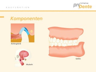 Kaufunktion - proDente