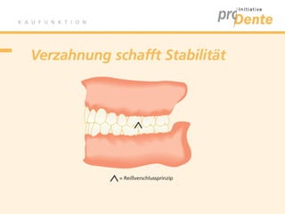 Kaufunktion - proDente