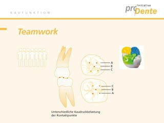 Kaufunktion - proDente