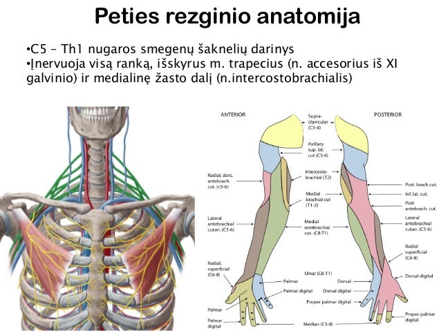 Kodėl aš niekada negausiu pado skliauto skausmas
