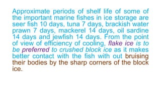 Processing of fish. pptx | PPTX